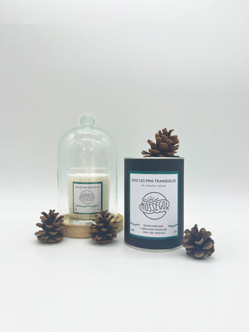 Bougie parfumée "Sous les pins tranquilles"
